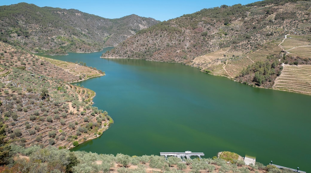 Entre montes, montanhas, vinha e oliveiras, o rio Tua com um pequeno cais ao fundo