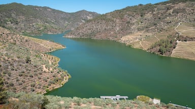 Entre montes, montanhas, vinha e oliveiras, o rio Tua com um pequeno cais ao fundo