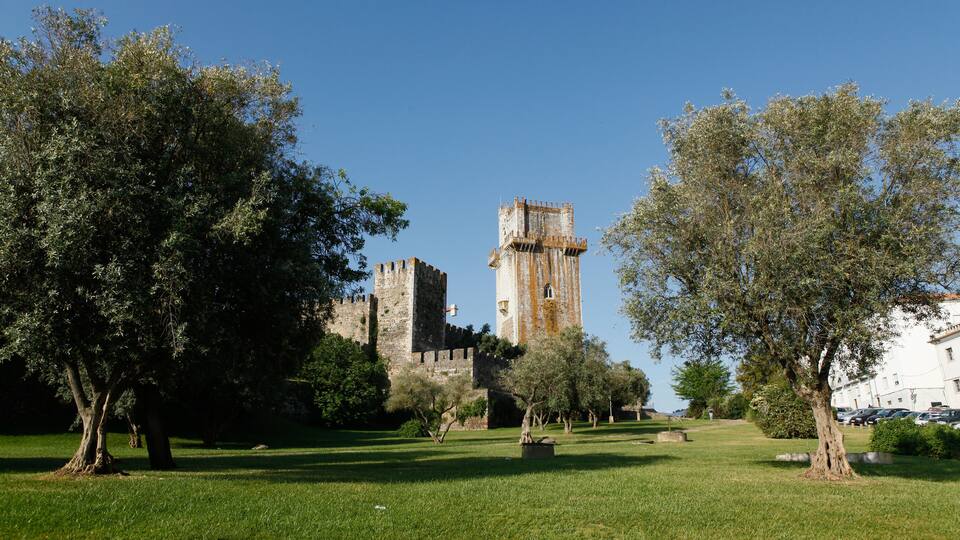 A historic castle with tall towers and a well-maintained park with trees and grass.