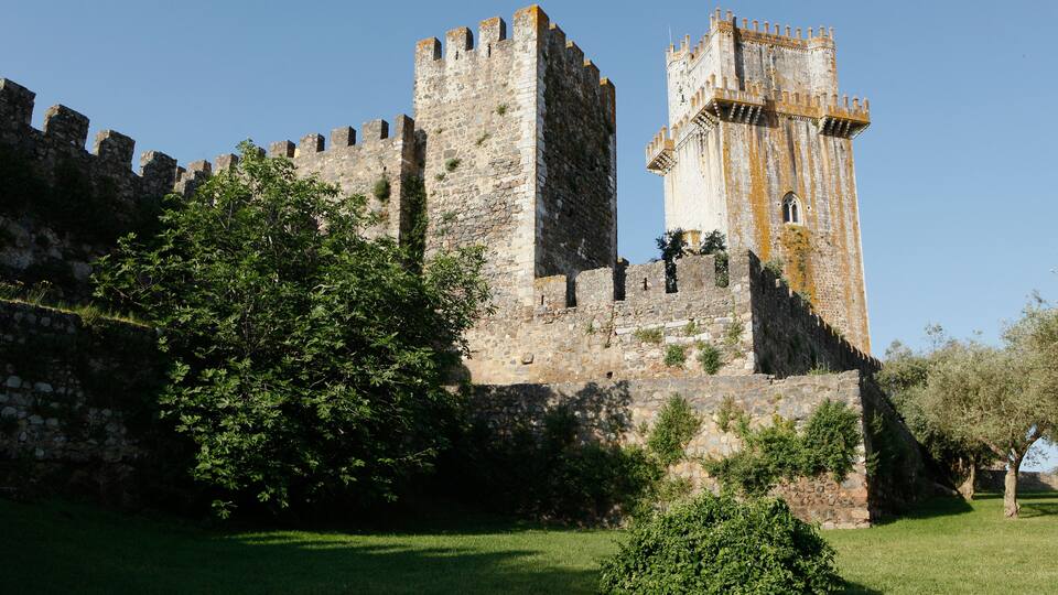 A historic stone castle with a tall tower, surrounded by lush greenery.