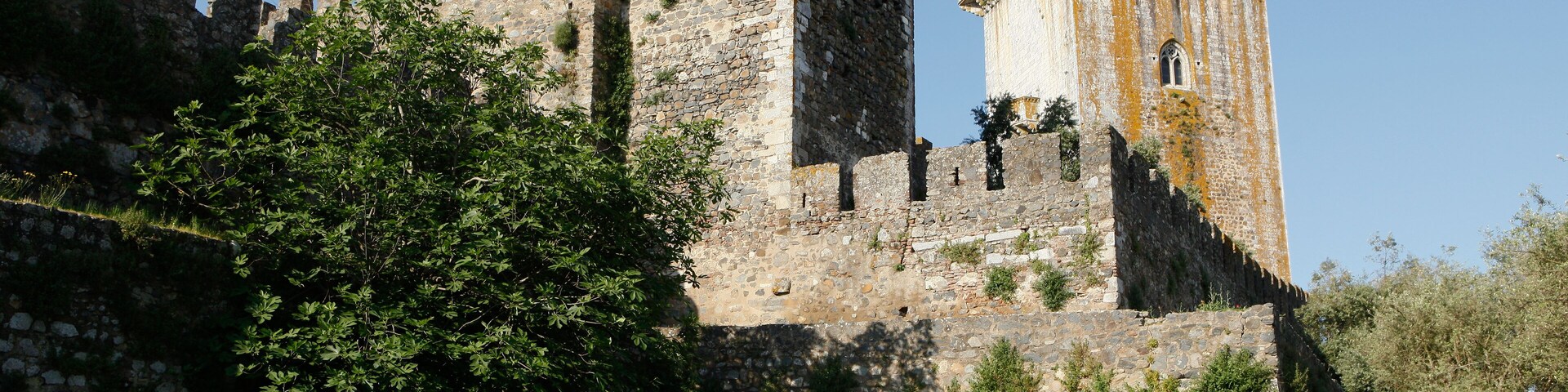 A historic stone castle with a tall tower, surrounded by lush greenery.