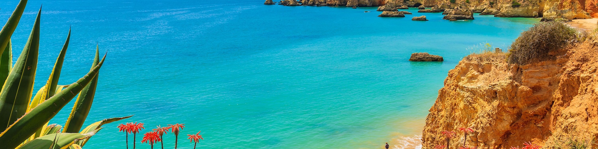 Tropical flowers on beautiful Praia da Rocha beach, Algarve region, Portugal