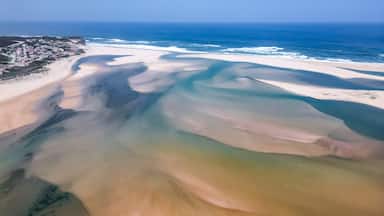 Foz do Arelho, Portugal - Top-down coastal scene with sandy dunes and ocean waves