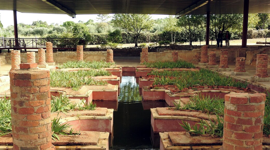 #conimbriga #ruins #roman
Casa dos repuxos
As Ruínas Romanas de Conímbriga são um dos maiores sítios arqueológicos de Portugal e ficam situadas a cerca de 17 Km da cidade de Coimbra. A região era já povoada desde os tempos pré-históricos mas foi a partir de 139 a. C. que foi ocupada pelas tropas romanas tornando-se então a próspera capital da província da Lusitânia. Destaque para a Casa dos Repuxos com os seus mosaicos, Forum, templo e termas. As ruínas estão classificadas como Monumento Nacional. Na área existe o Museu Monográfico de Conimbriga que contém exclusivamente achados destas ruínas.
The Roman Ruins of Conímbriga are one of the largest archeological sites in Portugal and are located about 17 km from the city of Coimbra. The region was already settled since prehistoric times but it was from 139 a. C. that was occupied by the Roman troops becoming then the prosperous capital of the province of Lusitânia. Highlights are the House of the Repuxos with its mosaics, Forum, temple and thermal baths. The ruins are classified as National Monument. In the area there is the Monographic Museum of Conimbriga which contains exclusively finds of these ruins.