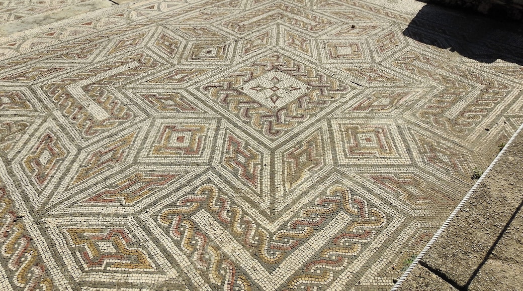 #conimbriga #ruins #roman
As RuĂnas Romanas de ConĂmbriga sĂŁo um dos maiores sĂtios arqueolĂłgicos de Portugal e ficam situadas a cerca de 17 Km da cidade de Coimbra. A regiĂŁo era jĂĄ povoada desde os tempos prĂ©-histĂłricos mas foi a partir de 139 a. C. que foi ocupada pelas tropas romanas tornando-se entĂŁo a prĂłspera capital da provĂncia da LusitĂąnia. Destaque para a Casa dos Repuxos com os seus mosaicos, Forum, templo e termas. As ruĂnas estĂŁo classificadas como Monumento Nacional. Na ĂĄrea existe o Museu MonogrĂĄfico de Conimbriga que contĂ©m exclusivamente achados destas ruĂnas.
The Roman Ruins of ConĂmbriga are one of the largest archeological sites in Portugal and are located about 17 km from the city of Coimbra. The region was already settled since prehistoric times but it was from 139 a. C. that was occupied by the Roman troops becoming then the prosperous capital of the province of LusitĂąnia. Highlights are the House of the Repuxos with its mosaics, Forum, temple and thermal baths. The ruins are classified as National Monument. In the area there is the Monographic Museum of Conimbriga which contains exclusively finds of these ruins.