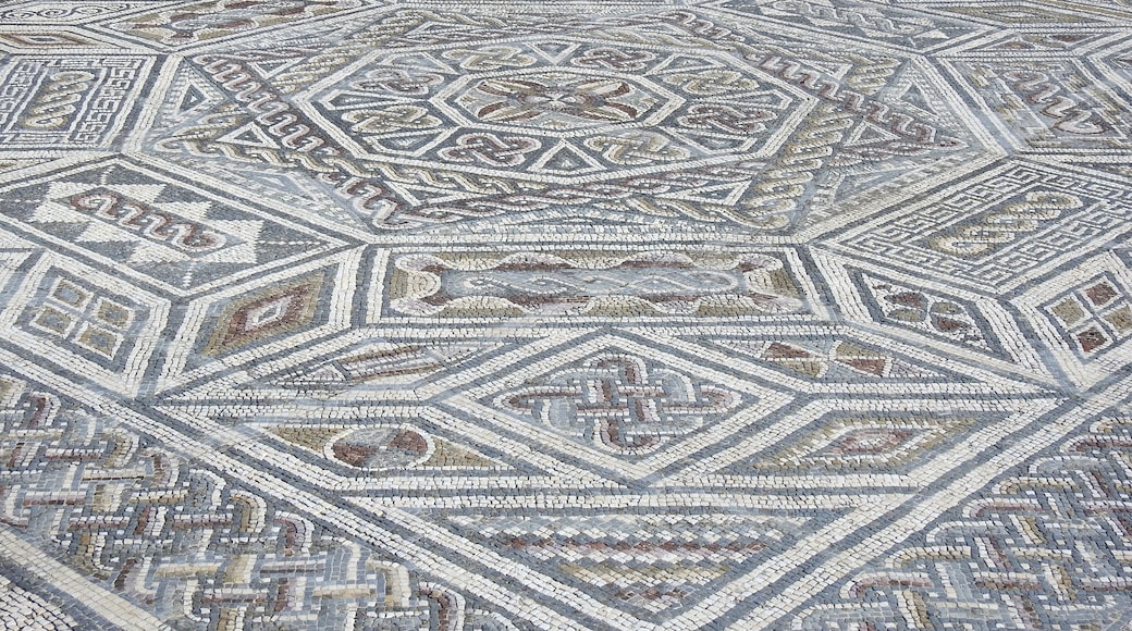 #conimbriga #ruins #roman
As RuĂnas Romanas de ConĂmbriga sĂŁo um dos maiores sĂtios arqueolĂłgicos de Portugal e ficam situadas a cerca de 17 Km da cidade de Coimbra. A regiĂŁo era jĂĄ povoada desde os tempos prĂ©-histĂłricos mas foi a partir de 139 a. C. que foi ocupada pelas tropas romanas tornando-se entĂŁo a prĂłspera capital da provĂncia da LusitĂąnia. Destaque para a Casa dos Repuxos com os seus mosaicos, Forum, templo e termas. As ruĂnas estĂŁo classificadas como Monumento Nacional. Na ĂĄrea existe o Museu MonogrĂĄfico de Conimbriga que contĂ©m exclusivamente achados destas ruĂnas.
The Roman Ruins of ConĂmbriga are one of the largest archeological sites in Portugal and are located about 17 km from the city of Coimbra. The region was already settled since prehistoric times but it was from 139 a. C. that was occupied by the Roman troops becoming then the prosperous capital of the province of LusitĂąnia. Highlights are the House of the Repuxos with its mosaics, Forum, temple and thermal baths. The ruins are classified as National Monument. In the area there is the Monographic Museum of Conimbriga which contains exclusively finds of these ruins.