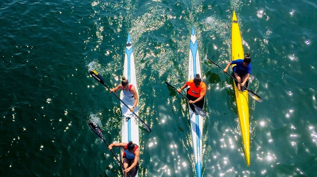 As I was walking across the bridge between Fão and Esposende Portugal this group of kayakers passed underneath me
#BVSBlue