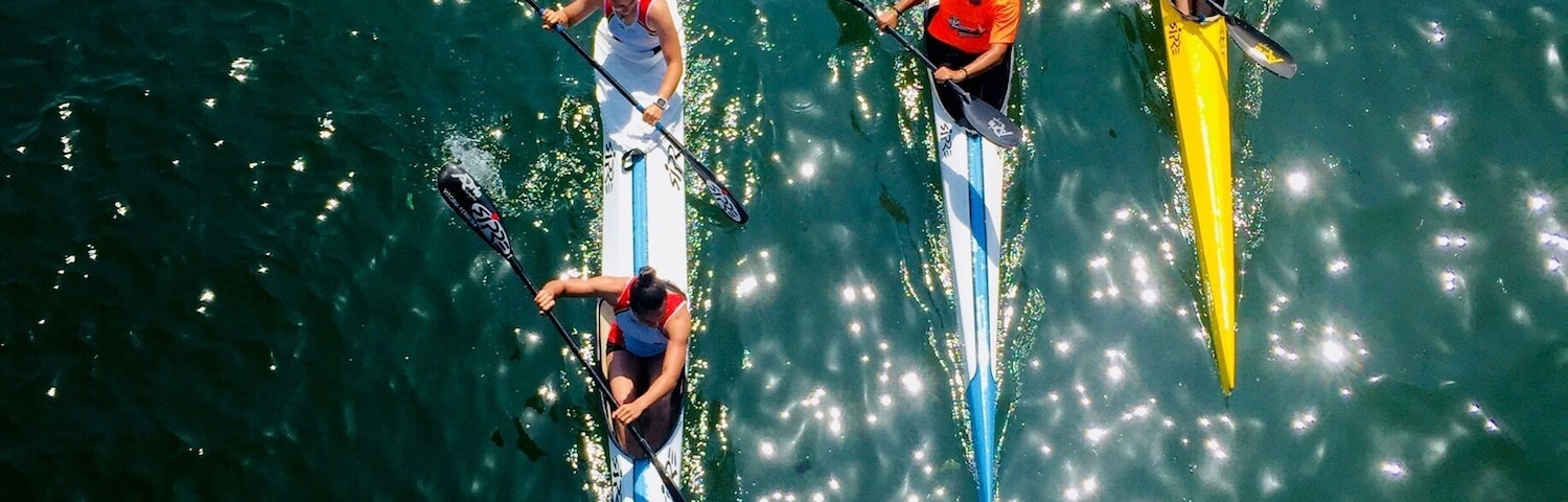As I was walking across the bridge between Fão and Esposende Portugal this group of kayakers passed underneath me
#BVSBlue