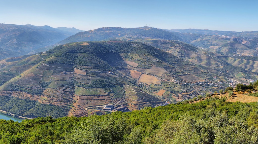 Amazing views of Douro vineyards from Sao Leonardo De Galafura viewpoint, Portugal