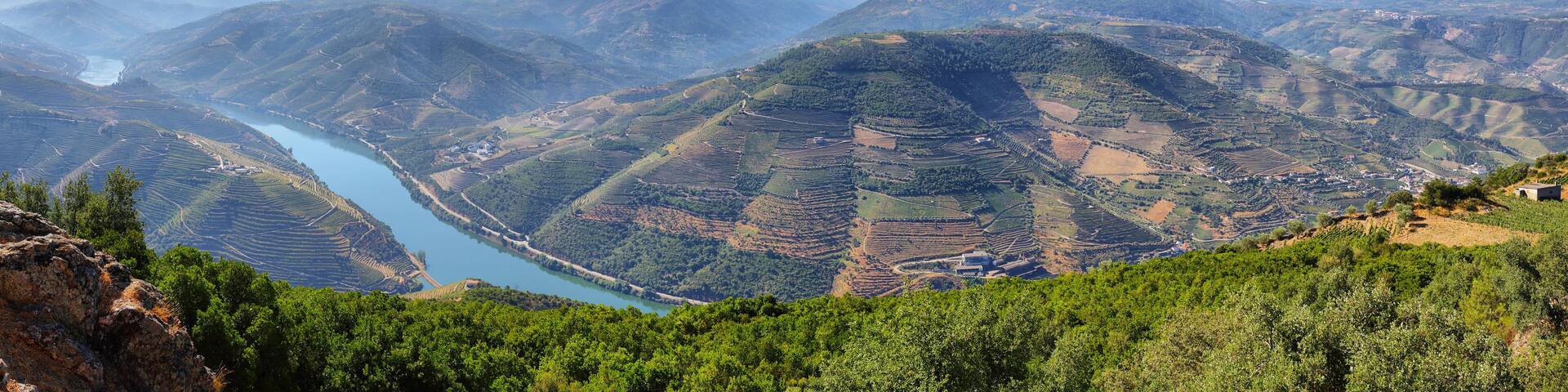 Amazing views of Douro vineyards from Sao Leonardo De Galafura viewpoint, Portugal