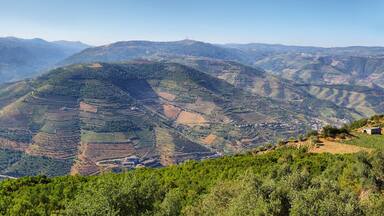 Amazing views of Douro vineyards from Sao Leonardo De Galafura viewpoint, Portugal