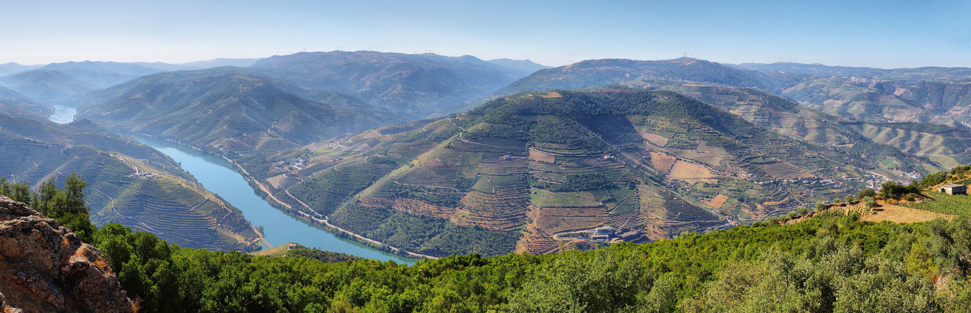 Terraced vineyards, a river, and rolling hills.