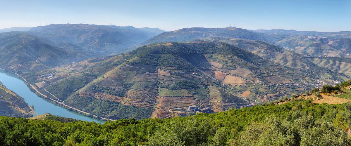 Terraced vineyards, a river, and rolling hills.