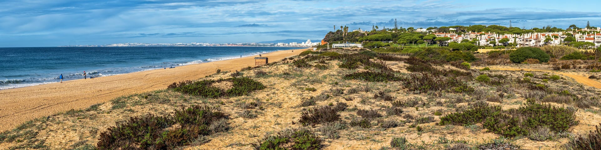 A coastal landscape with a sandy beach, dunes, and a town with buildings in the background.