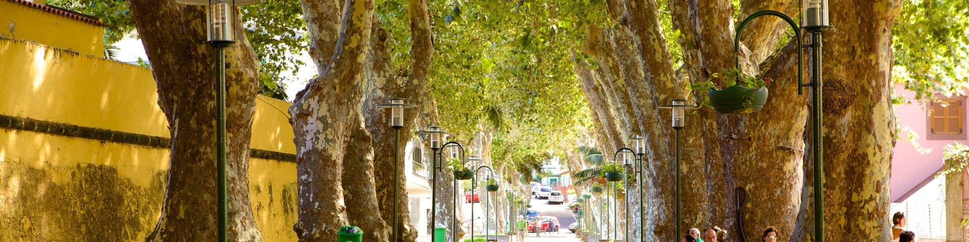 Machico which includes a park