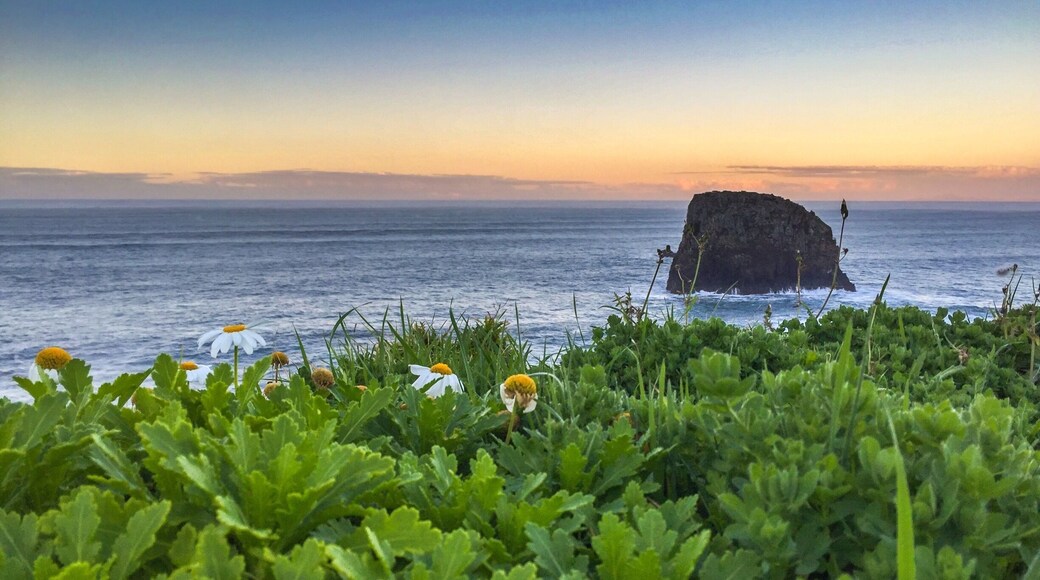 Porto da Cruz - Madeira Island
🏖 World's Leading Island Destination 2016
🏖 Europe's Leading Island Destination 2016
🏖 World's Leading Island Destination 2015
🏖 Europe's Leading Island Destination 2014
🏖 Europe's Leading Island Destination 2013