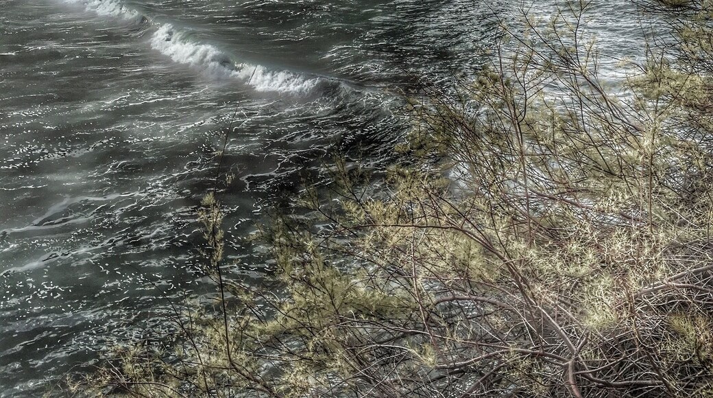 Porto da Cruz - Madeira Island
🏖 Europe's Leading Island Destination 2016
🏖 World's Leading Island Destination 2015
🏖 Europe's Leading Island Destination 2014
🏖 Europe's Leading Island Destination 2013