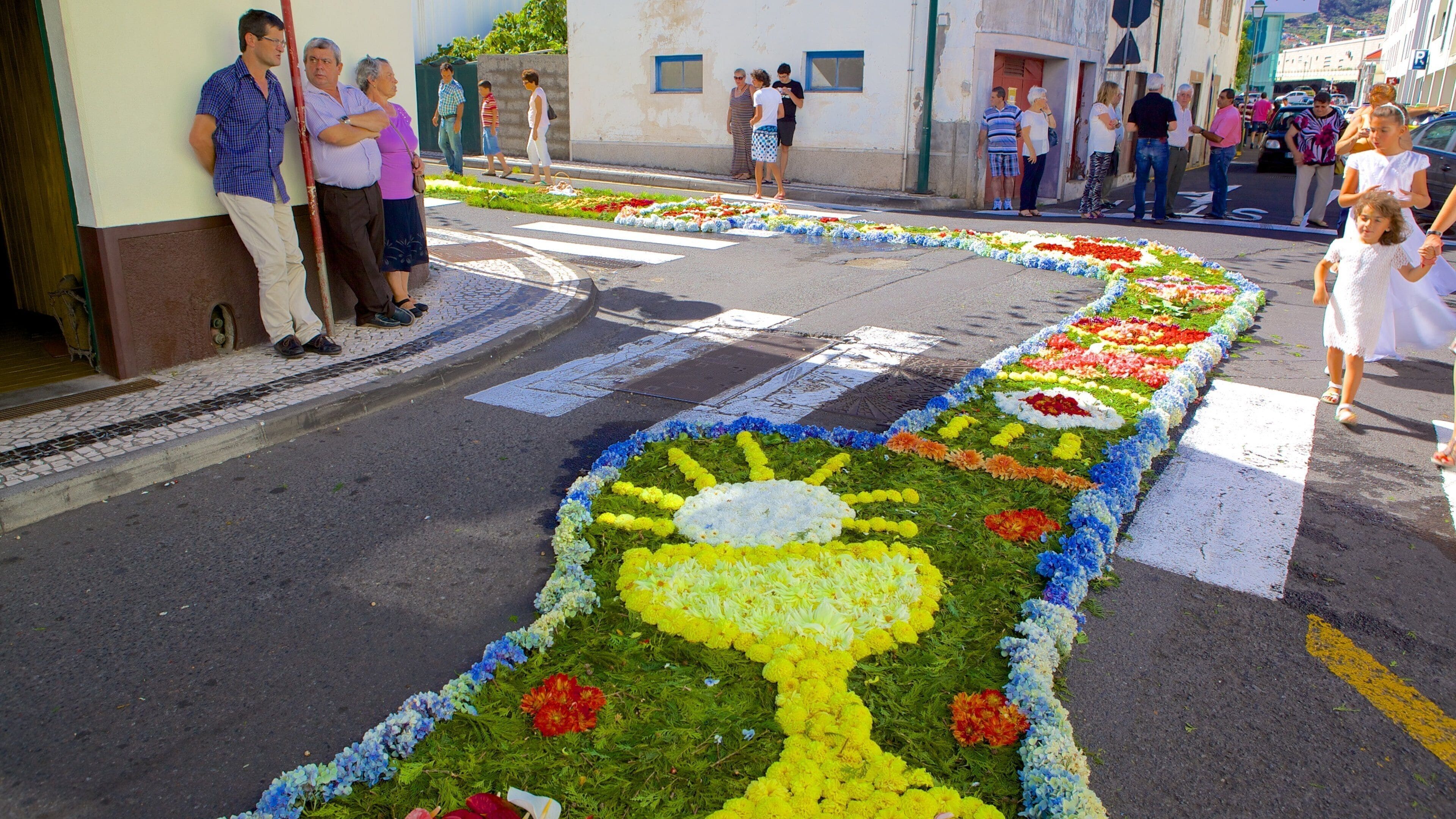 Machico which includes outdoor art, street scenes and flowers