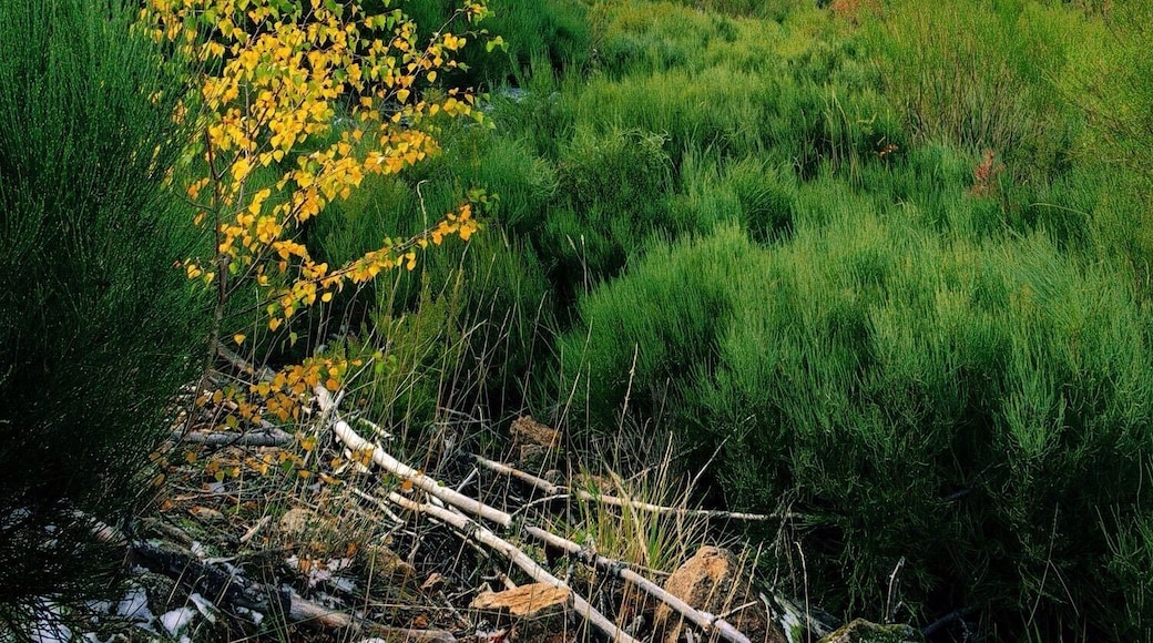 This place is worth your visit during the winter time.