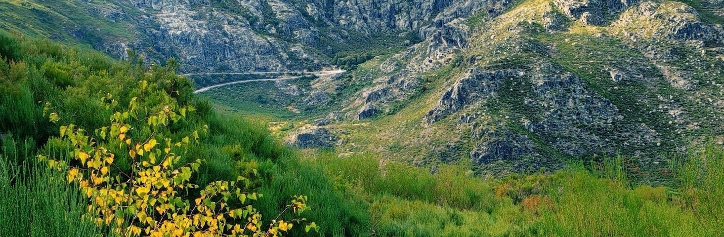 This place is worth your visit during the winter time.