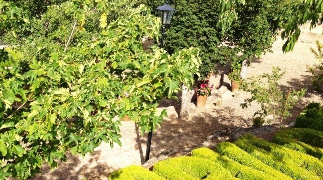 They take pride in their town and their foliage here. Nice and sunny and warm here in late June!