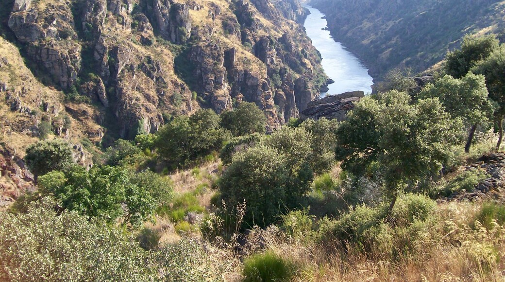 On the Arribas do Douro, in Douro International Park.