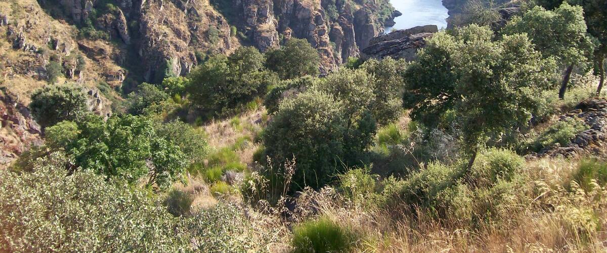 On the Arribas do Douro, in Douro International Park.