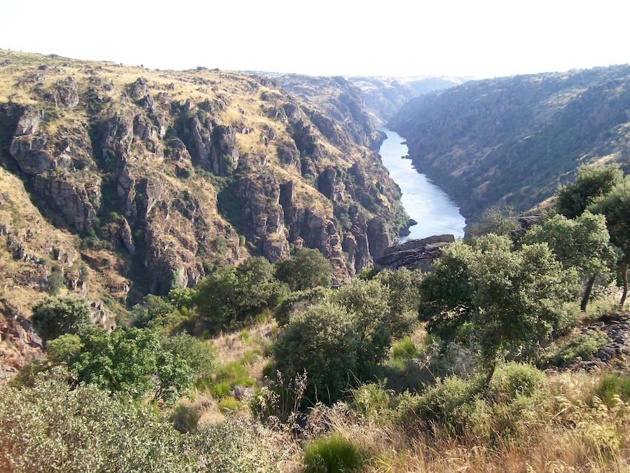 On the Arribas do Douro, in Douro International Park.
