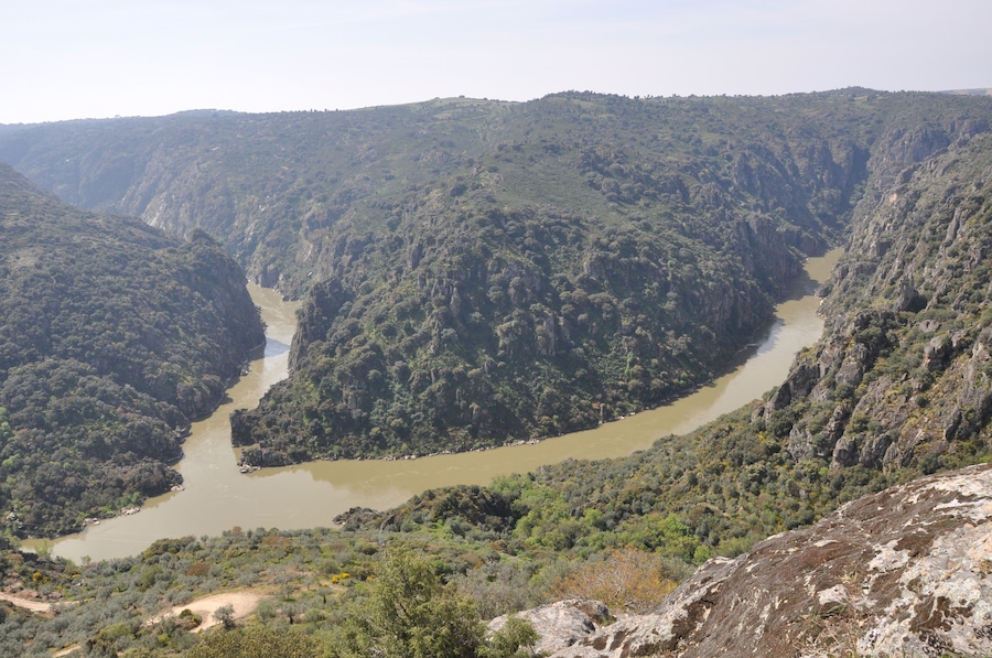 A river winding through a canyon with steep, forested cliffs.
