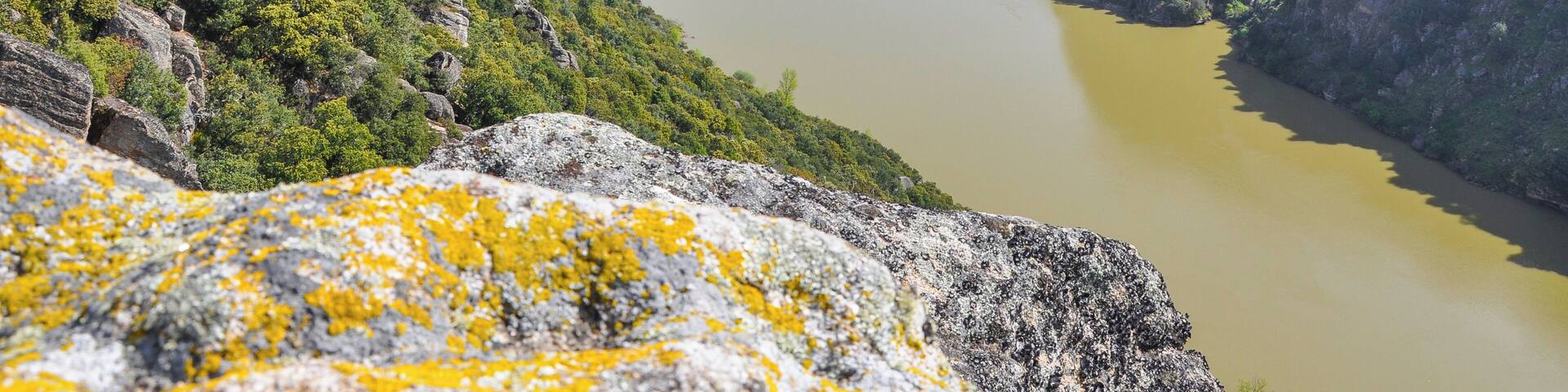 This is a photography of a Site of Community Importance in Spain with the ID: