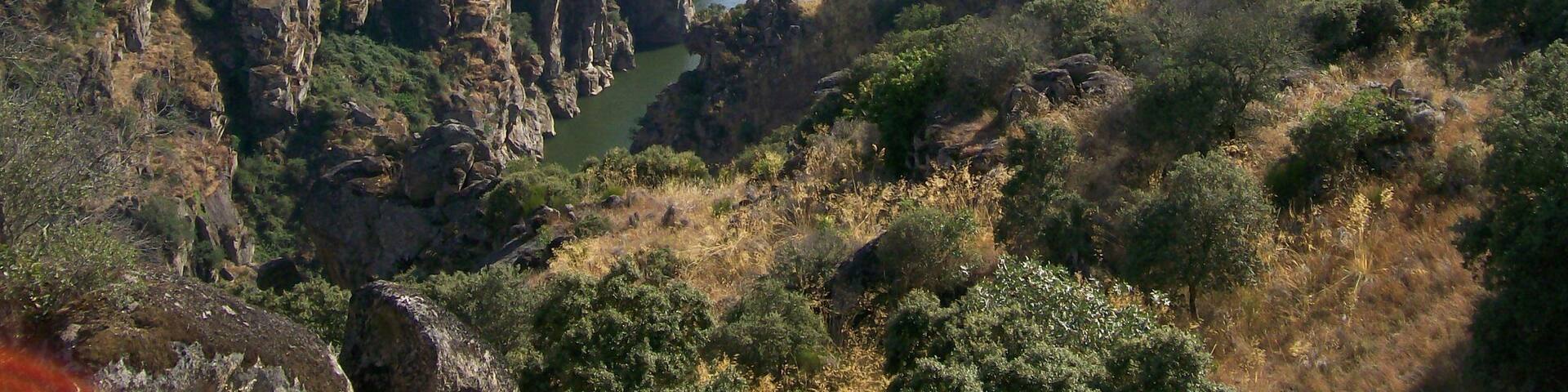 A canyon with a river running through it.
