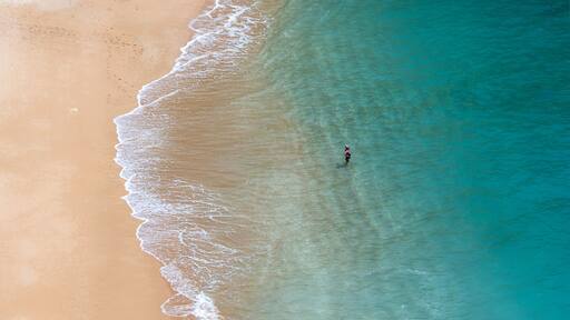 Une plage de sable fin, avec une eau turquoise et limpide, oĂč se tient une seule personne.