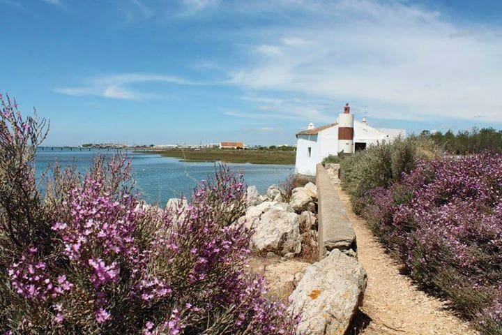 Nice easy hike in the salt plains of Olhao, Portugal. Very pretty!
