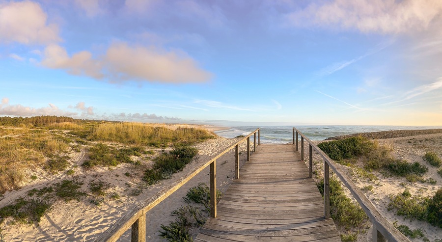 Un muelle de madera que conduce a una playa con dunas y un bosque al fondo.