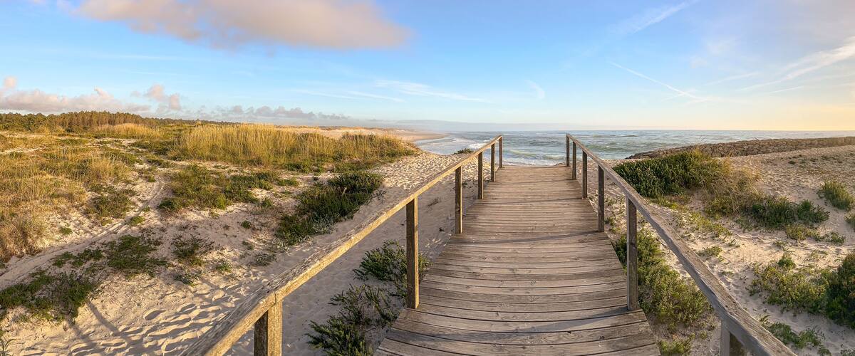 A wooden boardwalk leading to a beach with dunes and a forest in the background.