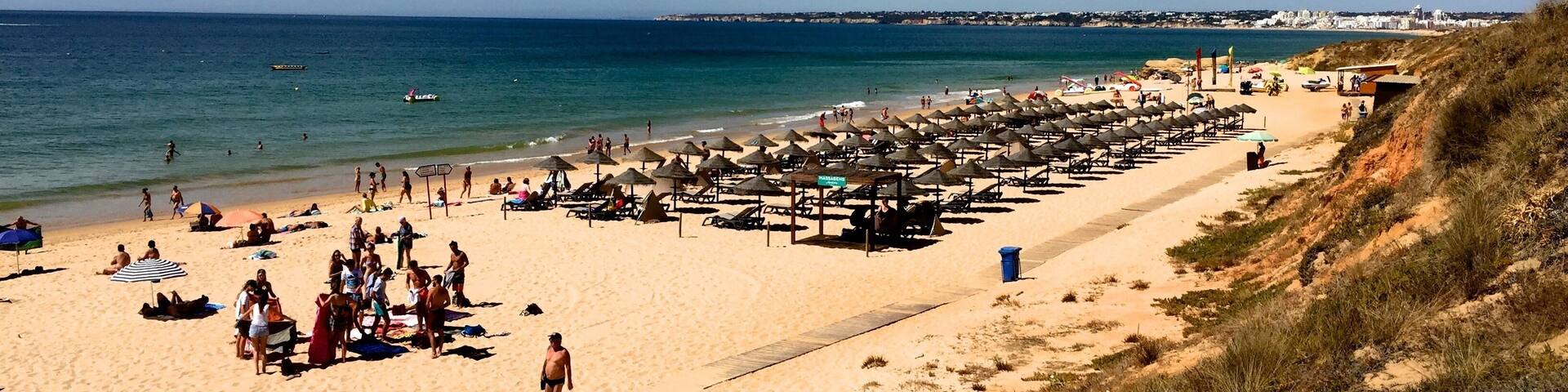 A crowded beach with numerous umbrellas and sun loungers.