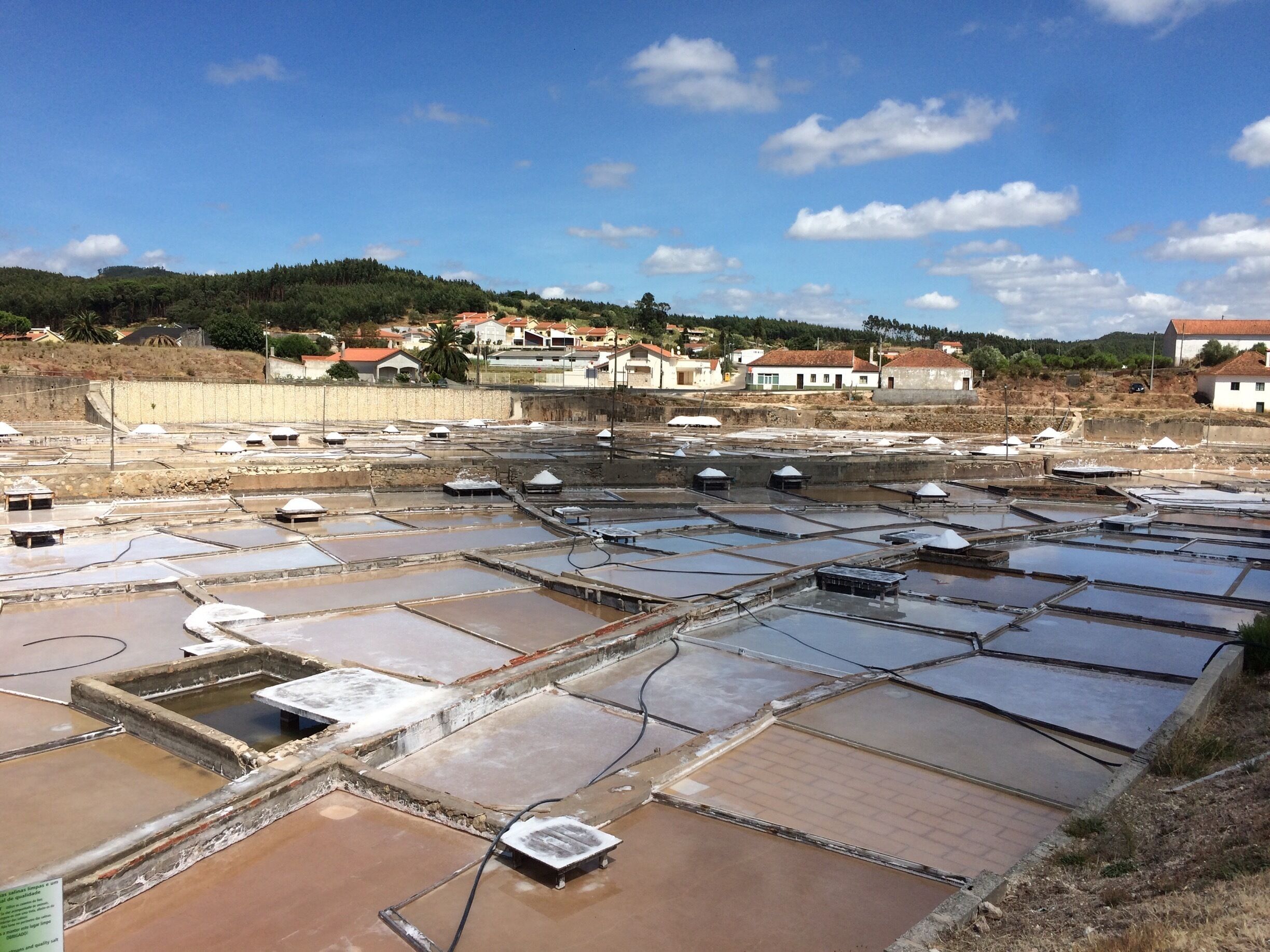 A salt evaporation pond with multiple rectangular basins, surrounded by residential buildings and a hilly landscape in the background.