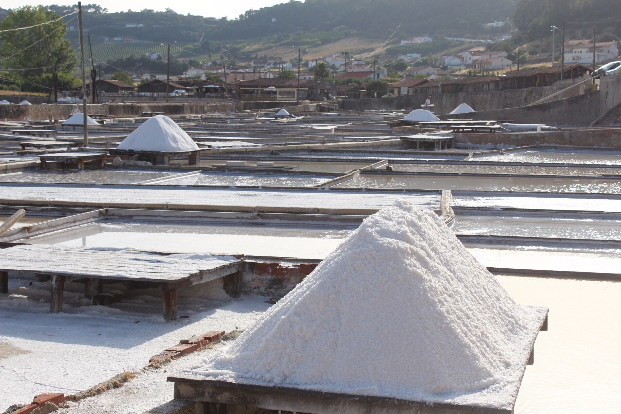 Salinas de Rio Maior.