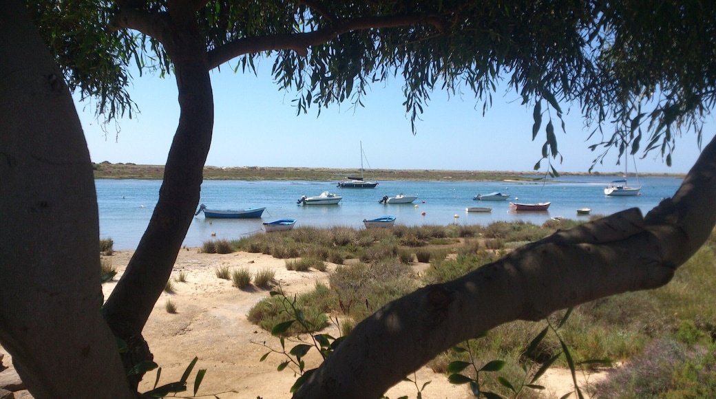The view from Cabanas across the Ria Formasa Parque Natural, an extensive network of wetlands running along the east coast of the Algarve from Faro to Manta Rota. A protected area of outstanding beauty that is home to migrating birds during the winter as well as breeding birds, fish and other wildlife.
But the best bit for me is the beach Ilha de Cabanas a short boat trip across the river.
#NationalPark #Beach