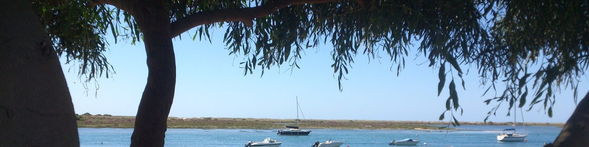 The view from Cabanas across the Ria Formasa Parque Natural, an extensive network of wetlands running along the east coast of the Algarve from Faro to Manta Rota. A protected area of outstanding beauty that is home to migrating birds during the winter as well as breeding birds, fish and other wildlife.
But the best bit for me is the beach Ilha de Cabanas a short boat trip across the river.
#NationalPark #Beach