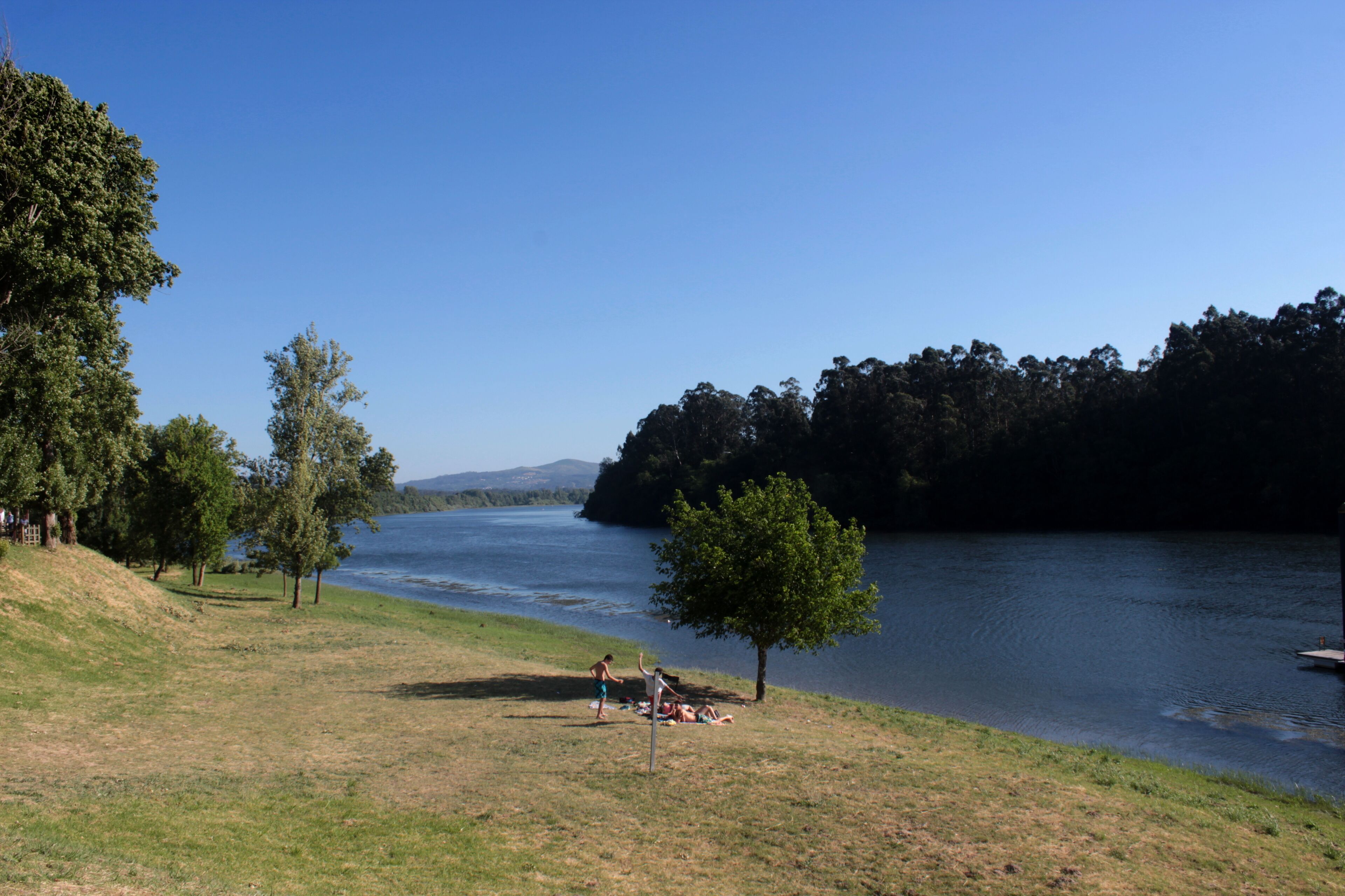 A grassy lakeside area with trees and a clear blue sky.