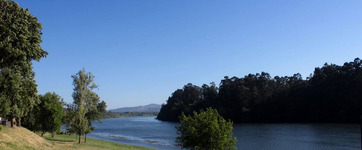 A grassy lakeside area with trees and a clear blue sky.