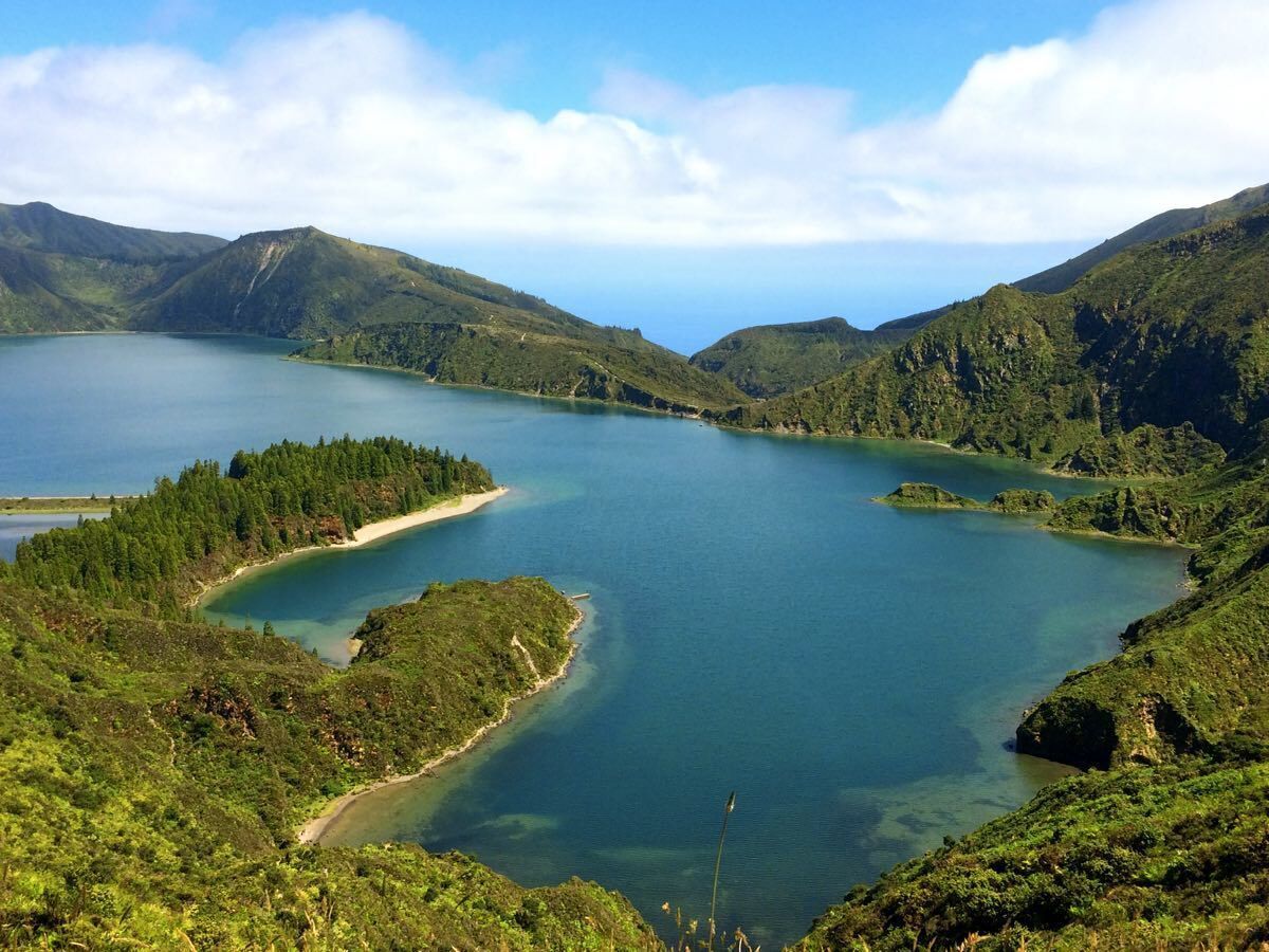 Lagoa do Fogo is my favorite lagoon of them all and one of my favorite places not only in São Miguel, but also in the whole planet. 

After a thirty-minute hike down in a dodgy trail, we had a wild beach just for ourselves. Down there, a beautiful sensation of peace – the only sound was of the seagulls in the spectacular green cliff in the opposite lagoon shore. It’s the kind of gorgeous that grabs hold of you tightly. The way up is much more challenging physically, but totally worth the effort.

#portugal #azores #hiking #nature #lakes

More about the Azores:
http://www.geekyexplorer.com/sao-miguel-island-in-4-days/