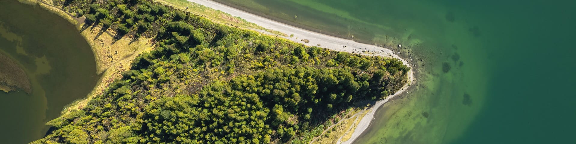 An aerial view of a coastal area with dense green vegetation, a sandy beach, and clear green water.
