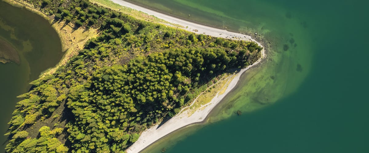An aerial view of a coastal area with dense green vegetation, a sandy beach, and clear green water.