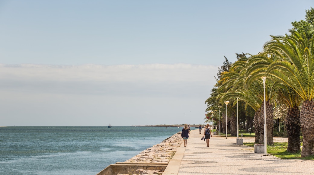 Vila Real Santo Antonio