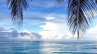 A beach with palm leaves and ocean waves.