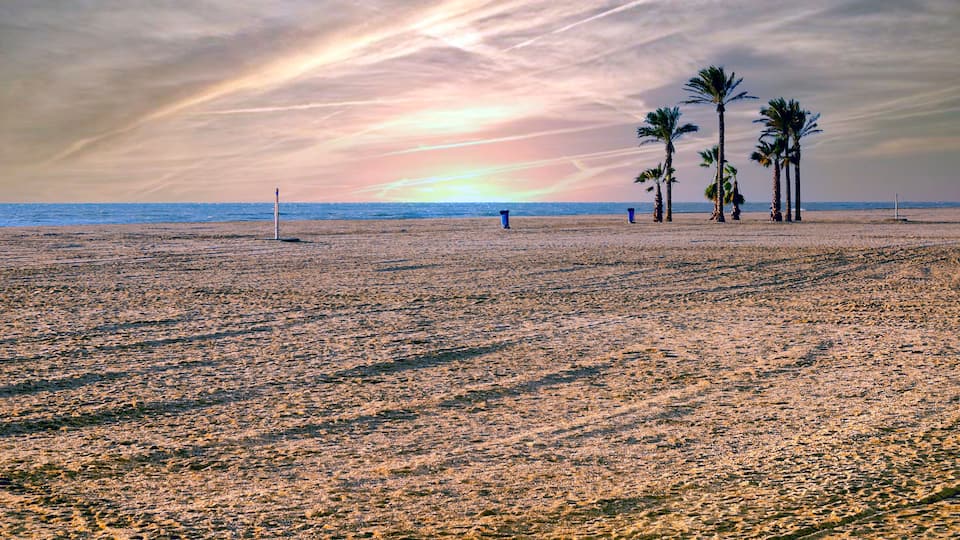 A beach with palm trees and a sunset.