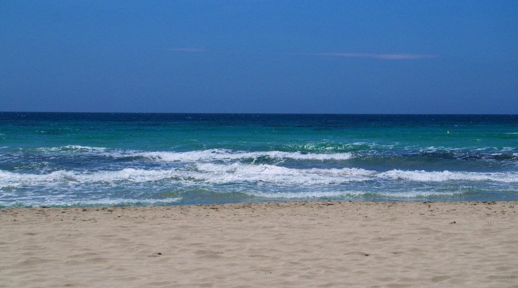 Son Bou beach - glorious!