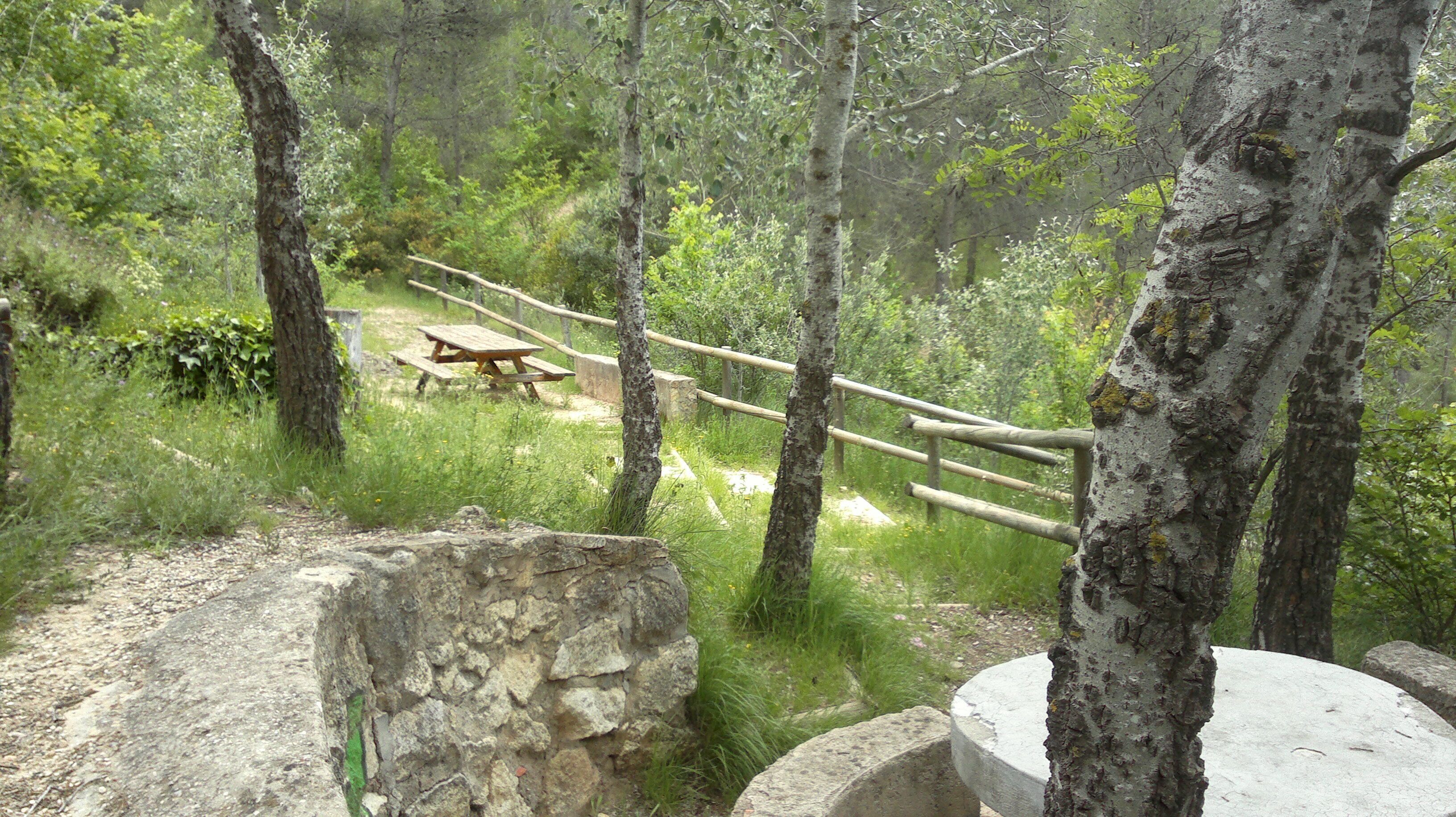 Un área boscosa con una mesa de picnic y una valla de madera.